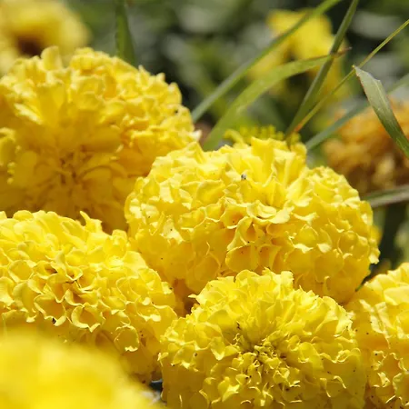 Отель Nicholas Park