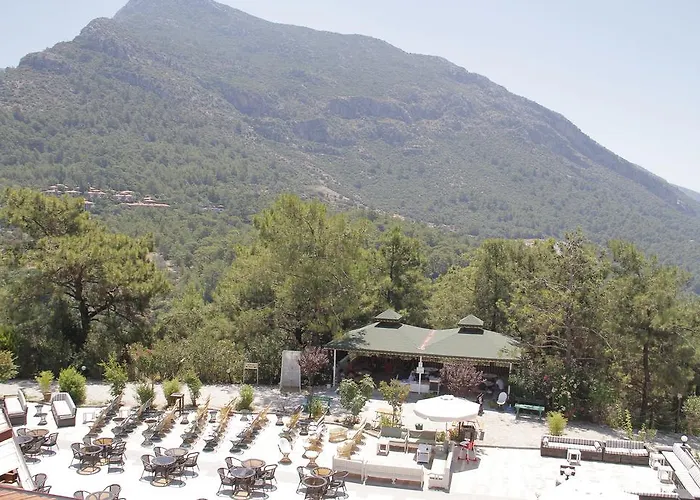 Otel Nicholas Park 4*