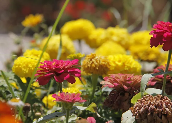 Nicholas Park 4* Олудениз